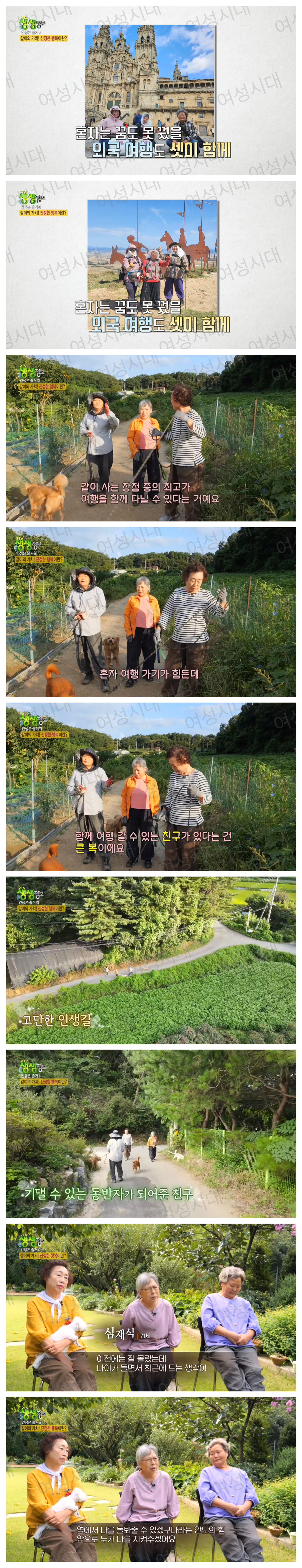 비혼여성의-로망-그자체인-생생정보통-세-할머니-65-이미지