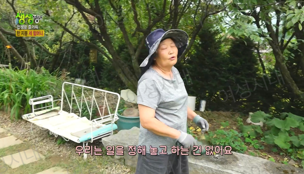 비혼여성의-로망-그자체인-생생정보통-세-할머니-26-이미지
