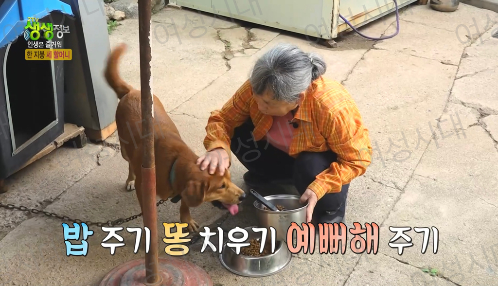 비혼여성의-로망-그자체인-생생정보통-세-할머니-30-이미지