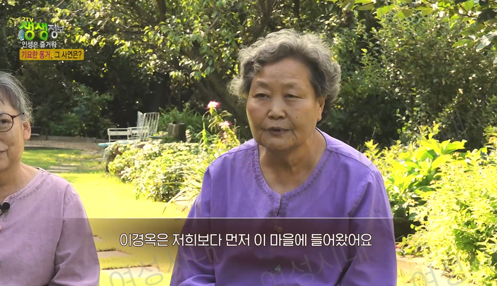 비혼여성의-로망-그자체인-생생정보통-세-할머니-51-이미지