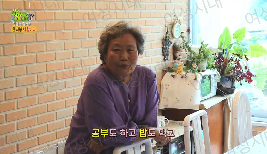 비혼여성의-로망-그자체인-생생정보통-세-할머니-12-이미지