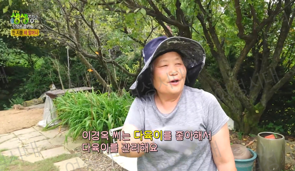 비혼여성의-로망-그자체인-생생정보통-세-할머니-23-이미지