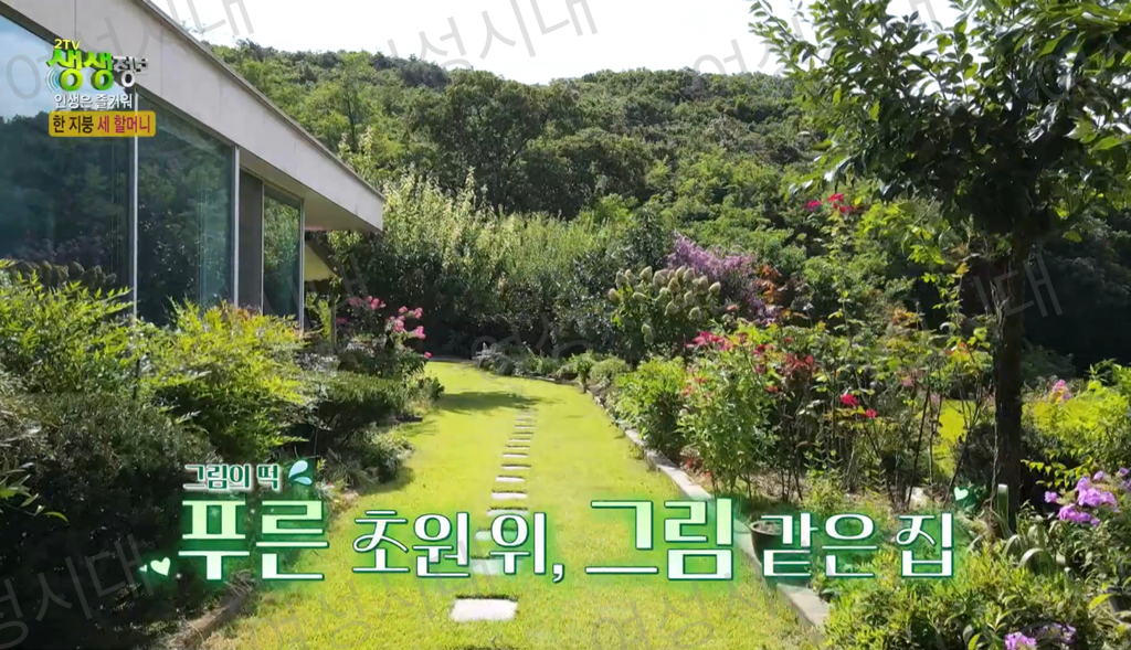 비혼여성의-로망-그자체인-생생정보통-세-할머니-15-이미지