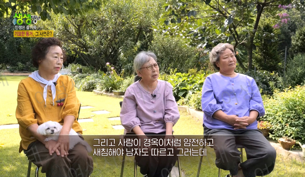 비혼여성의-로망-그자체인-생생정보통-세-할머니-46-이미지