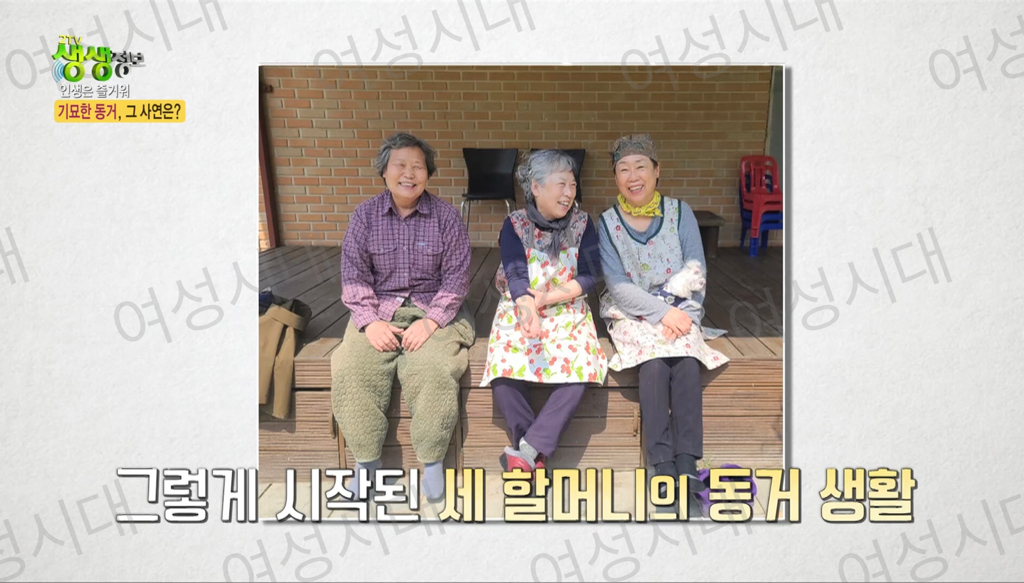 비혼여성의-로망-그자체인-생생정보통-세-할머니-59-이미지