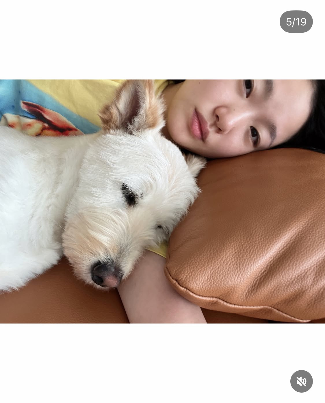 무지개다리-건넌-김고은-강아지-월이-25-이미지