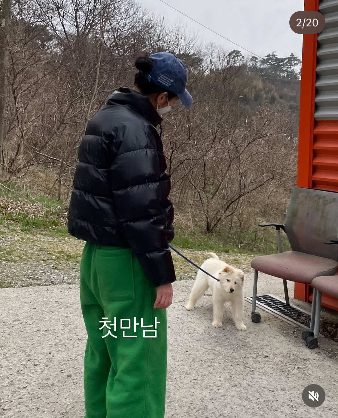 무지개다리-건넌-김고은-강아지-월이-2-이미지