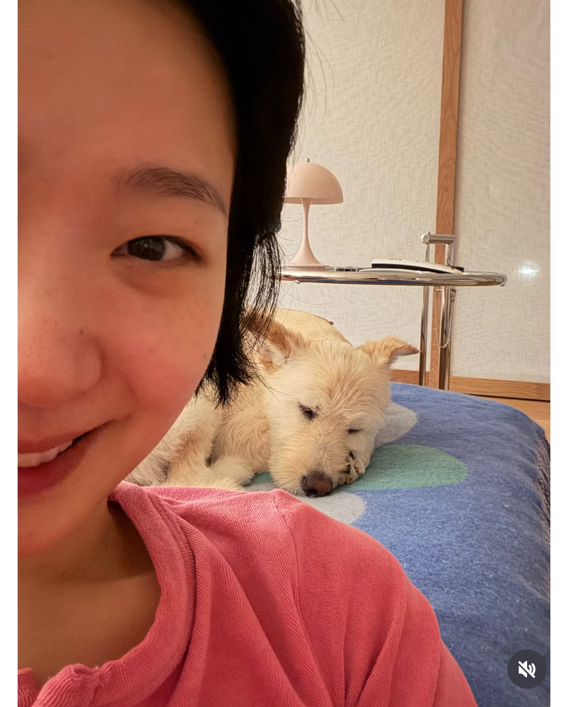 무지개다리-건넌-김고은-강아지-월이-31-이미지