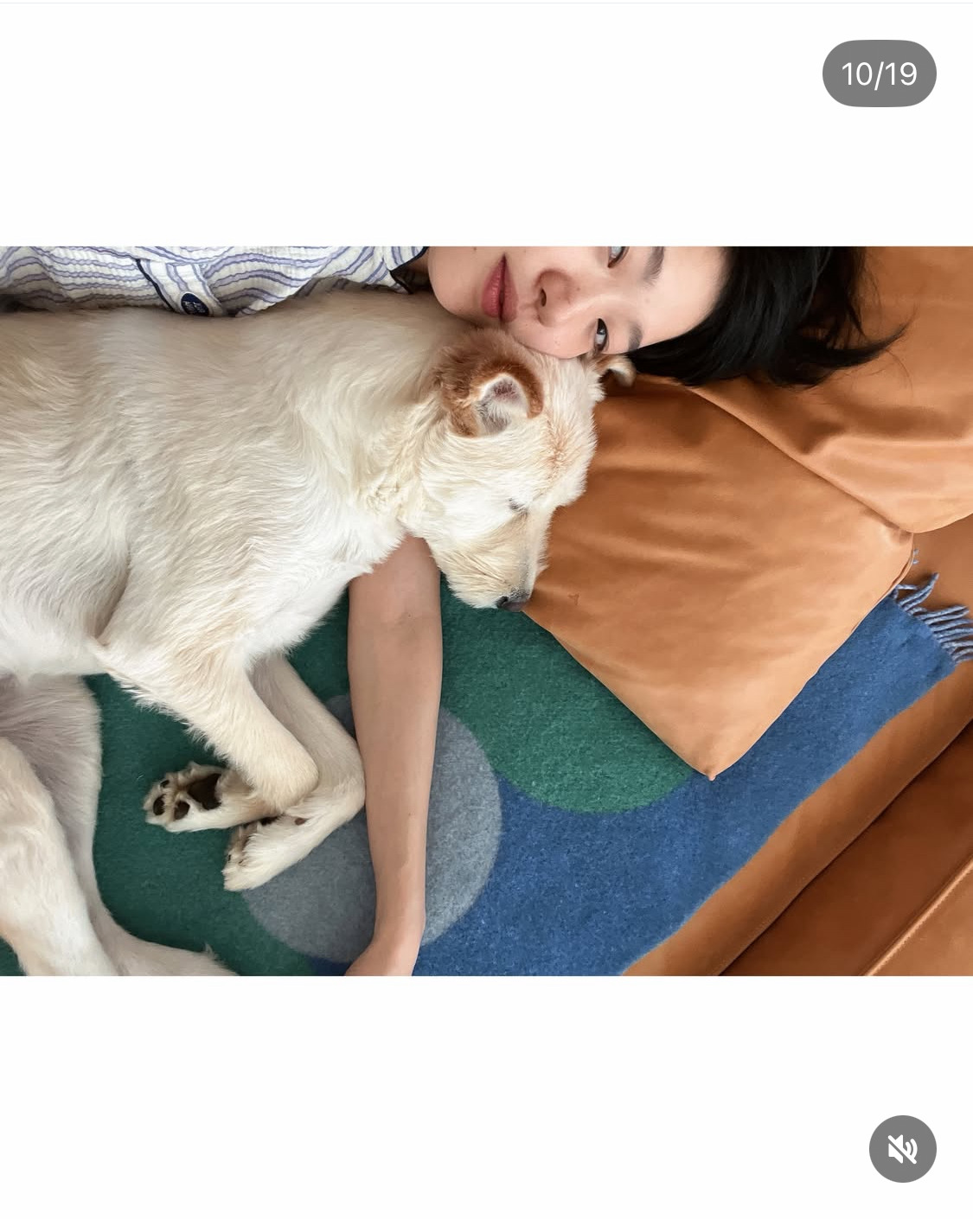 무지개다리-건넌-김고은-강아지-월이-29-이미지