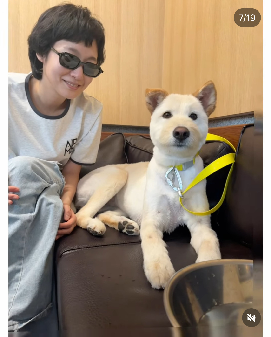 무지개다리-건넌-김고은-강아지-월이-26-이미지