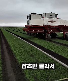 엔비디아-GPU-24개-=-인간-75명-일자리-1-이미지