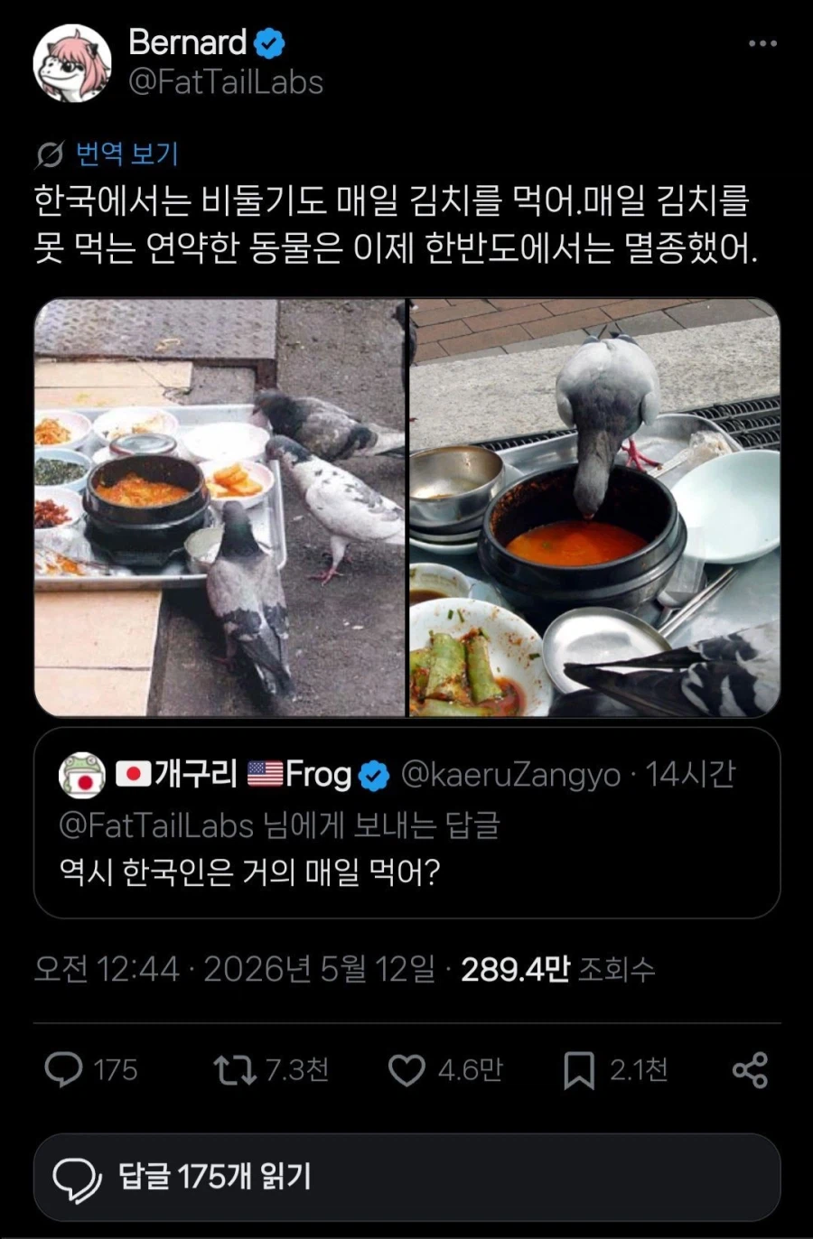역시...-한국인은-김치를-거의-매일-먹는거지?-0-이미지