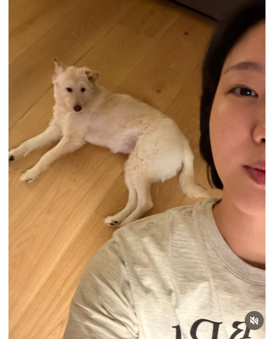 무지개다리-건넌-김고은-강아지-월이-33-이미지