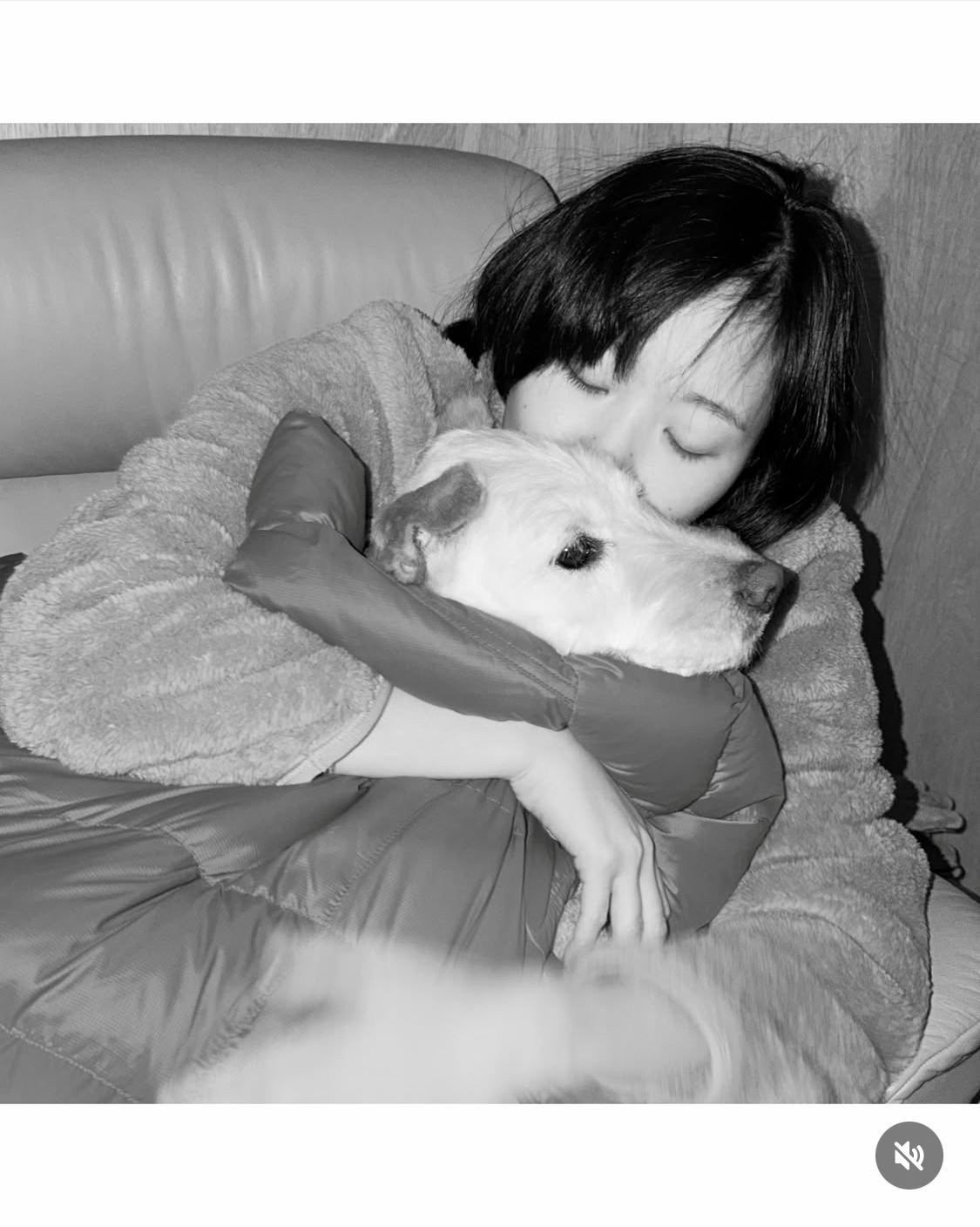 무지개다리-건넌-김고은-강아지-월이-34-이미지