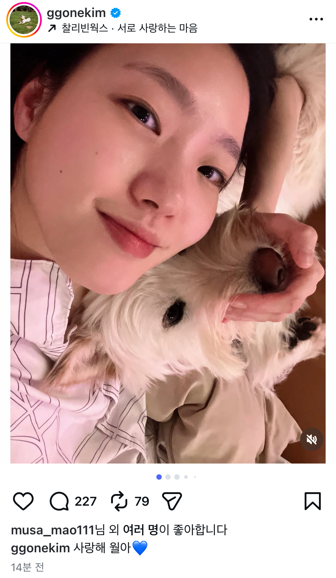 무지개다리-건넌-김고은-강아지-월이-21-이미지