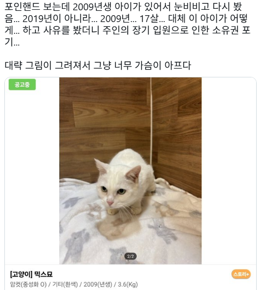 포인핸드-보는데-2009년생-아이가-있어서-눈비비고-다시-봤음...-2019년이-아니라...-2009년...-17살...-0-이미지