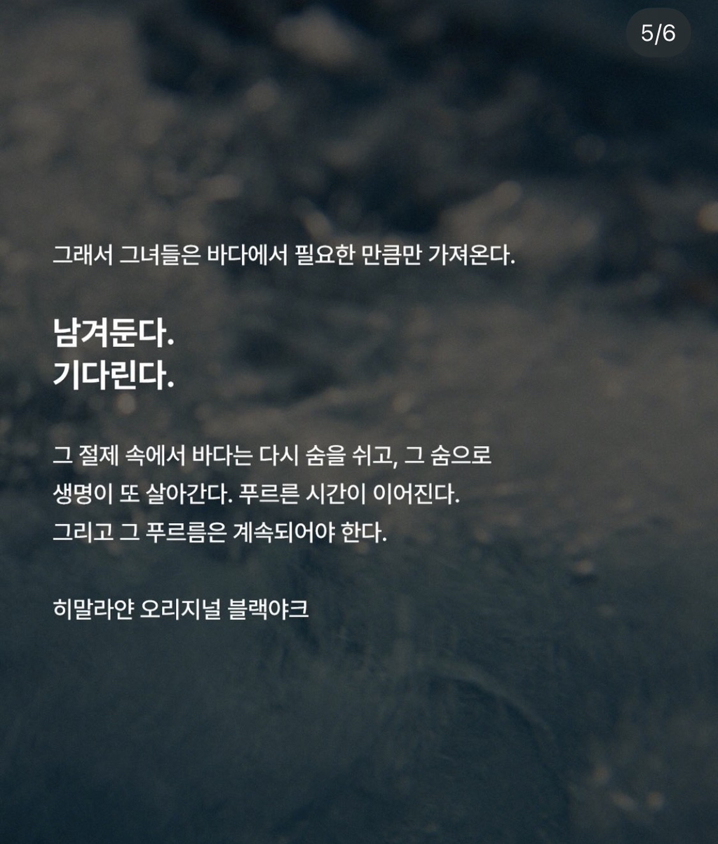힙하다고-화제인-블랙야크-신규-화보-12-이미지