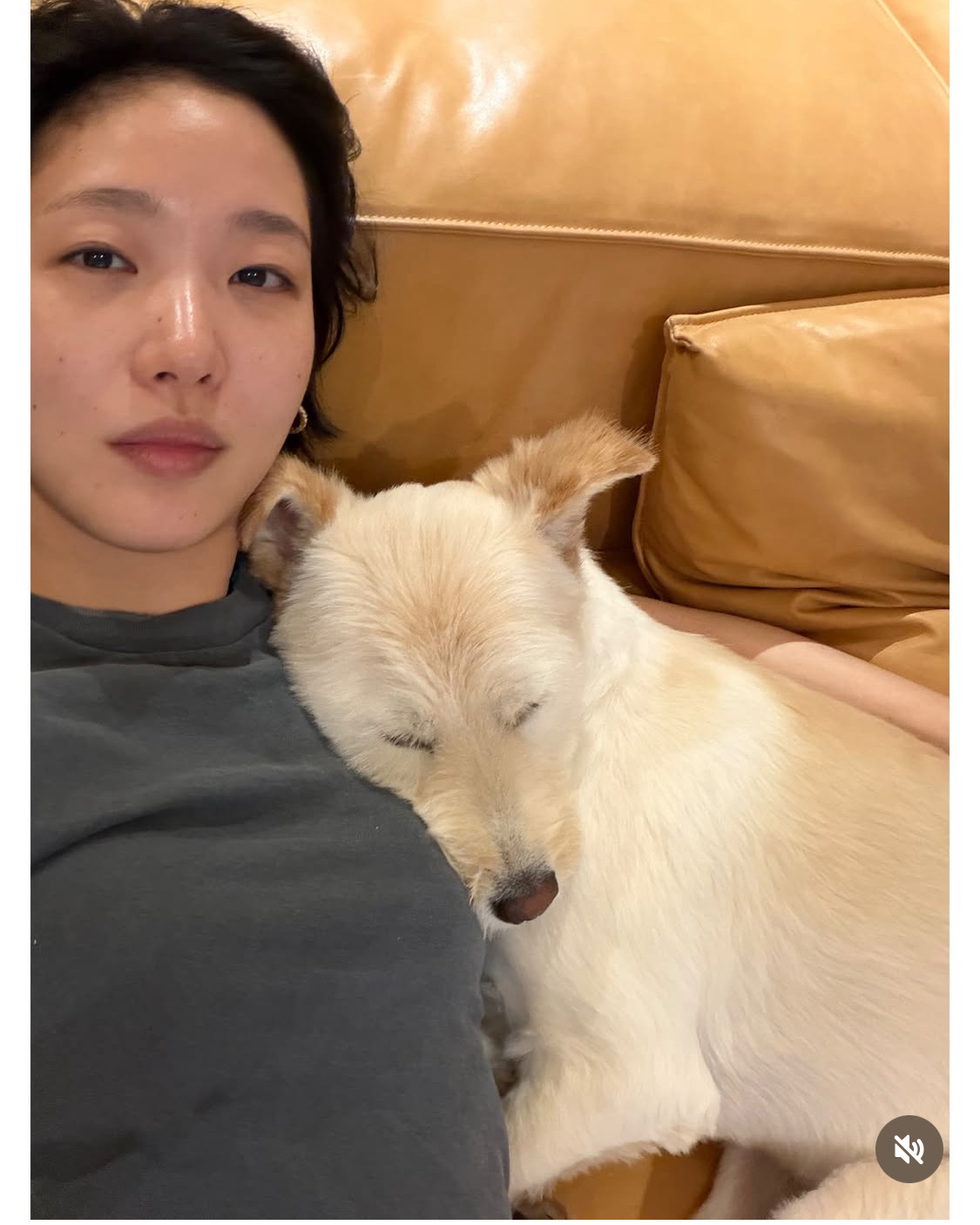 무지개다리-건넌-김고은-강아지-월이-30-이미지