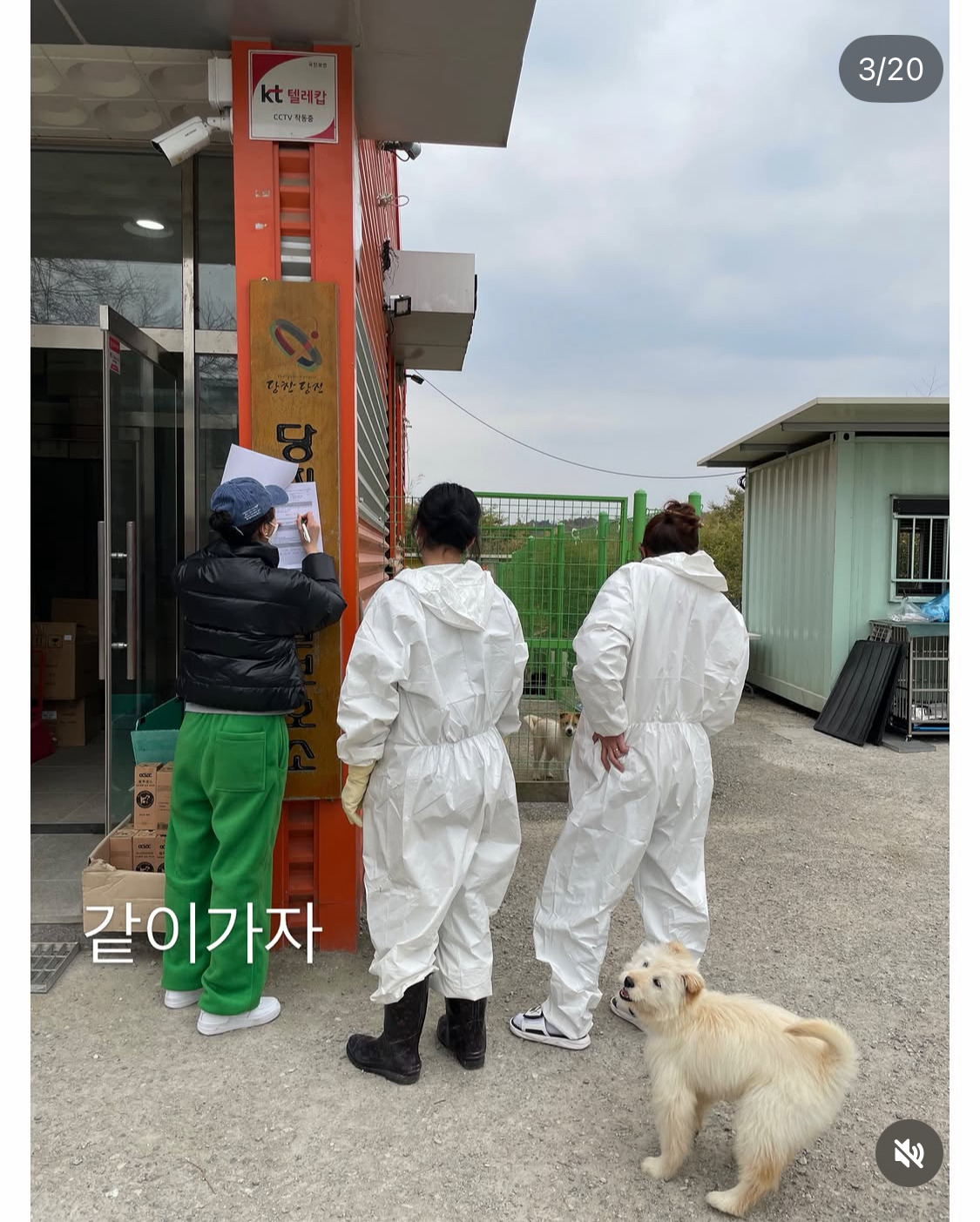 무지개다리-건넌-김고은-강아지-월이-3-이미지
