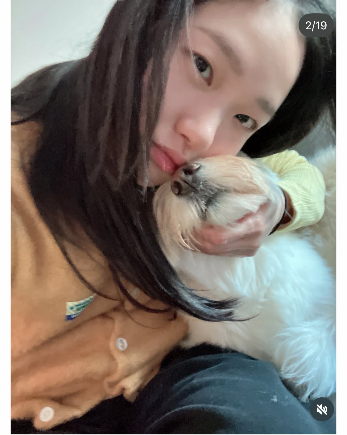 무지개다리-건넌-김고은-강아지-월이-22-이미지