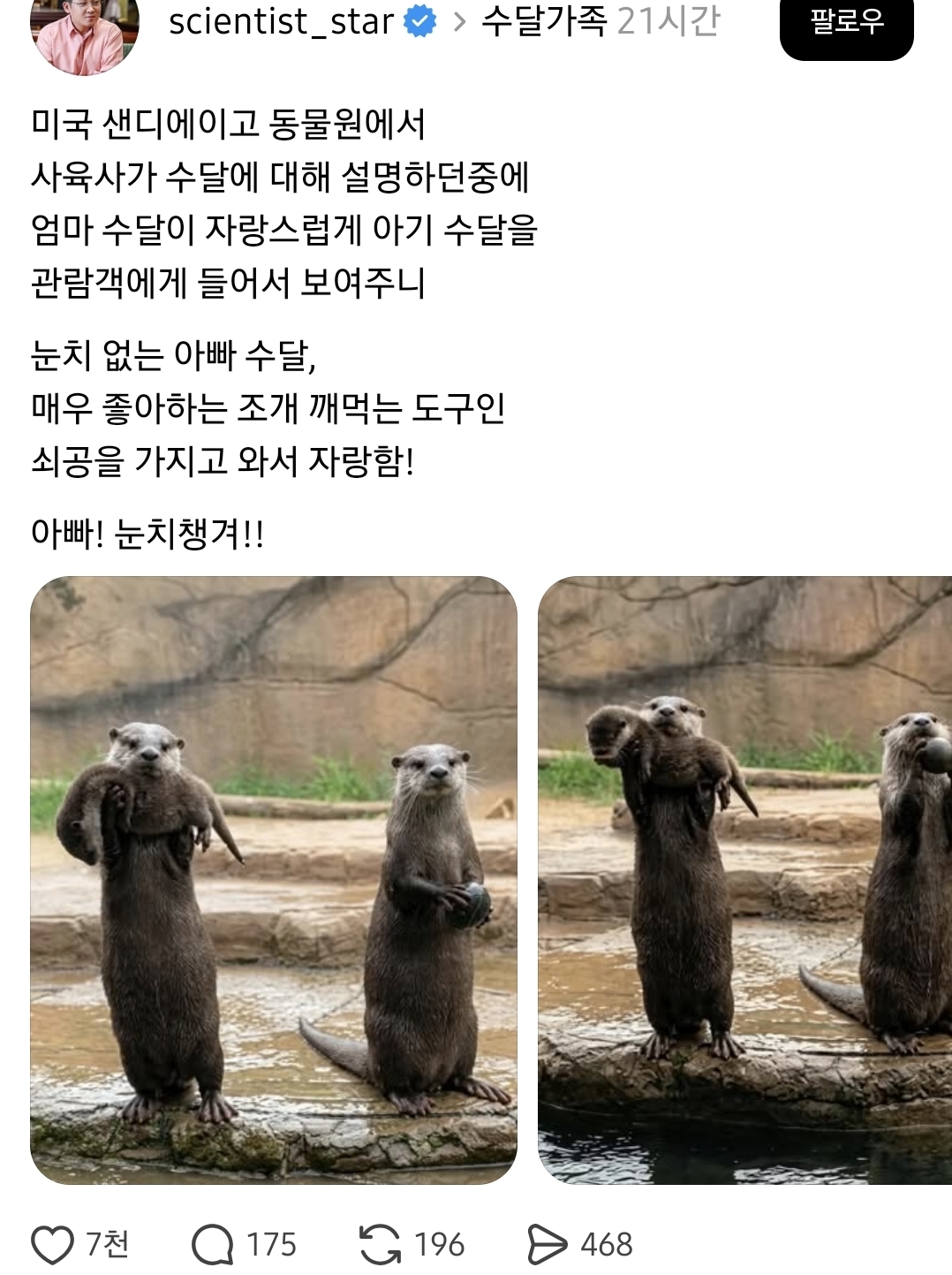 엄마-수달이-아기-자랑할-때-아빠-수달이-꺼내보인-것-0-이미지