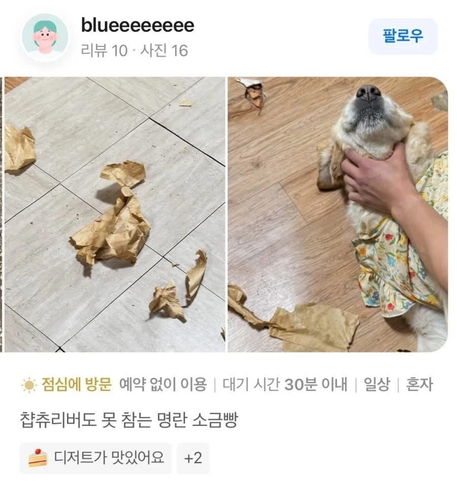 개쩌는-명란-소금빵-리뷰.jpg-0-이미지
