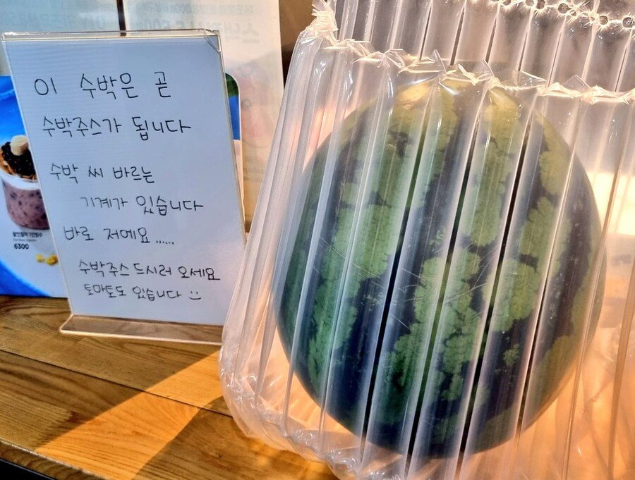 이디야에-있는-수박-씨-바르는-기계-2-이미지