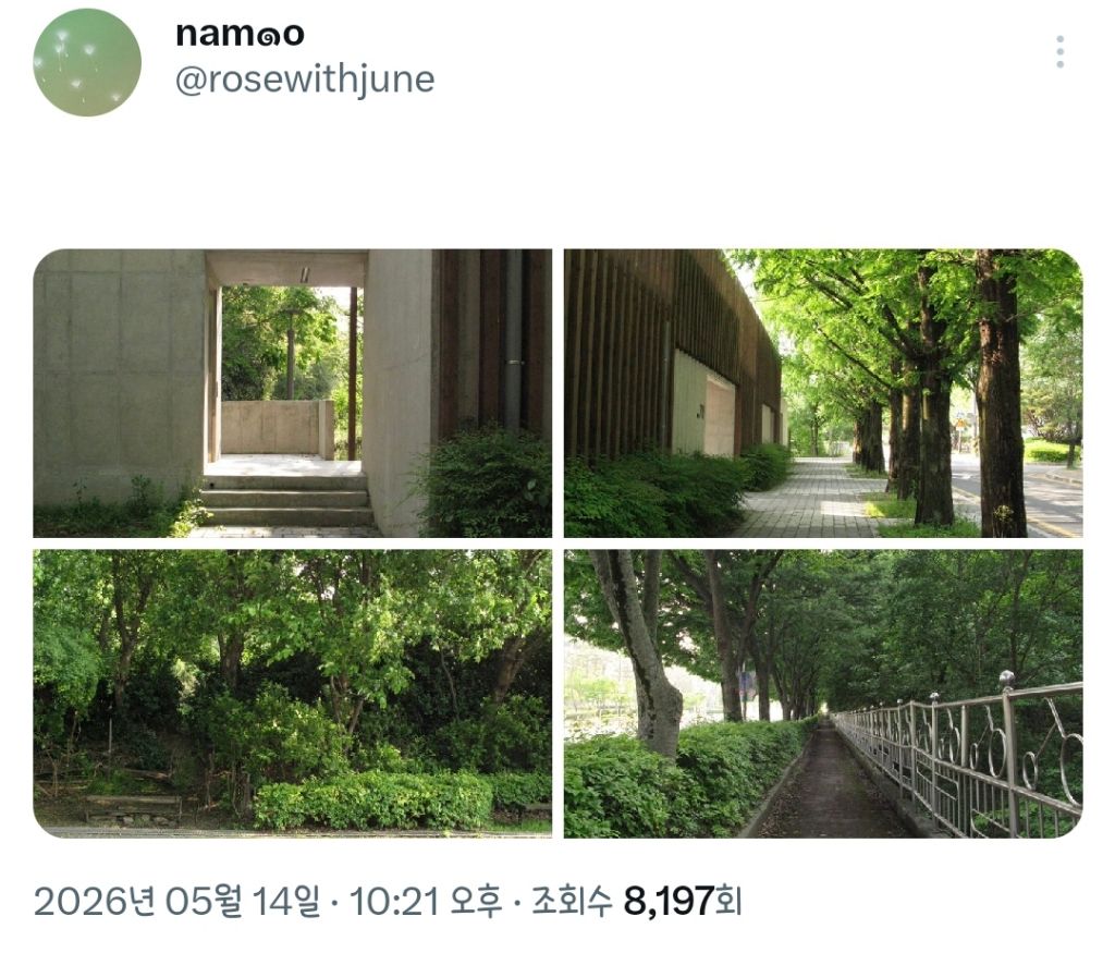 봄에는-버스-타거나-무작정-걷는-시간도-전부-여행인-게-좋다.twt-10-이미지