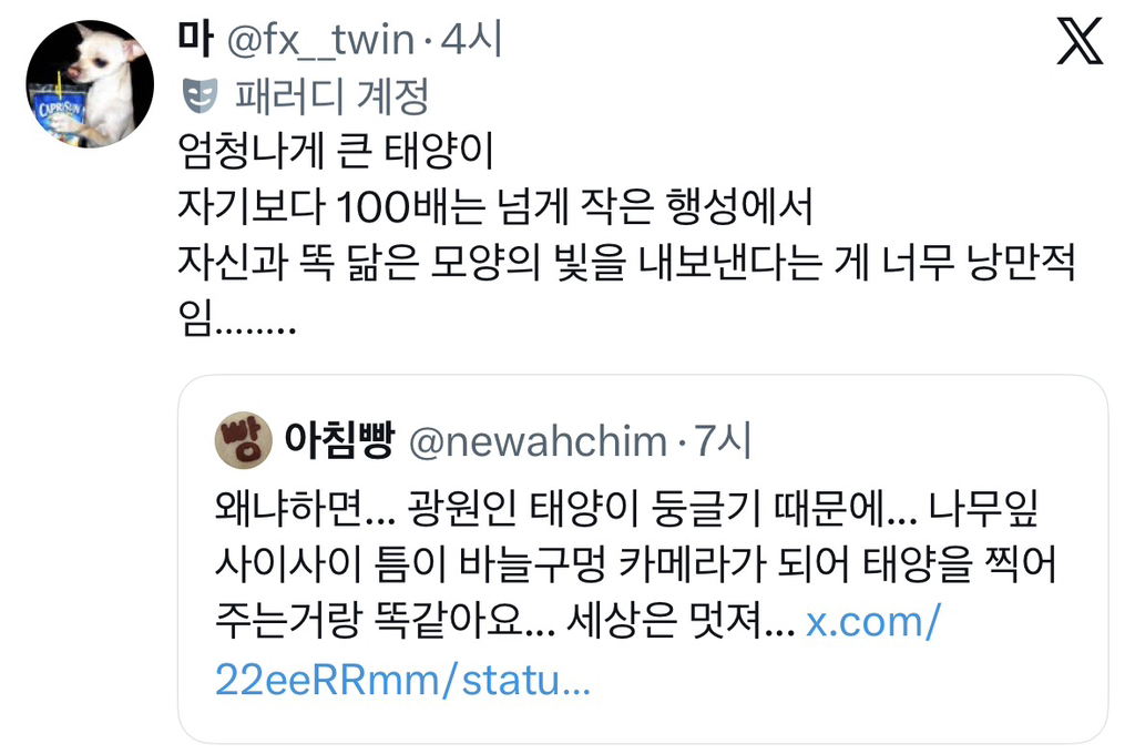 나뭇잎-아래-태양빛이-동그란-이유-13-이미지