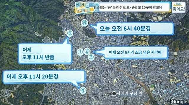 일본-히로시마,-곰출몰에-11개교-휴교-2-이미지