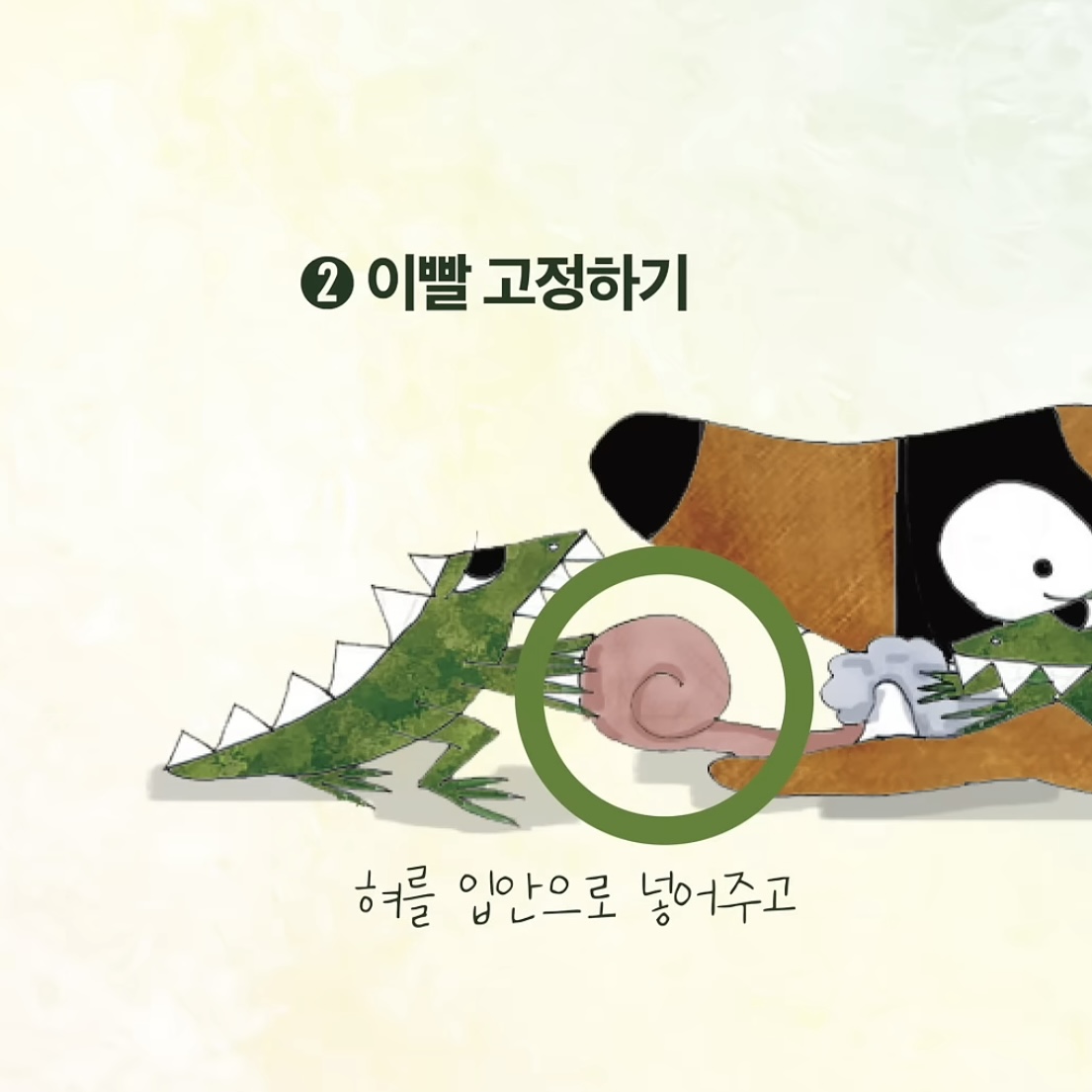 우리집-강아지가-죽으면-해야할-일.jpg-1-이미지