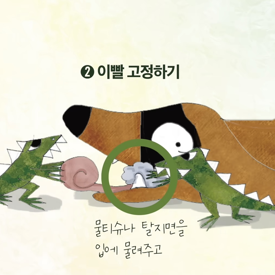 우리집-강아지가-죽으면-해야할-일.jpg-2-이미지