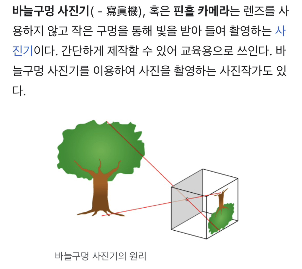 나뭇잎-아래-태양빛이-동그란-이유-2-이미지