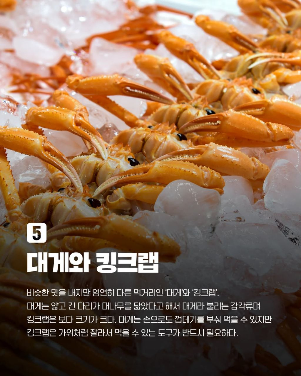 비슷하지만-다른-음식-7.jpg-4-이미지
