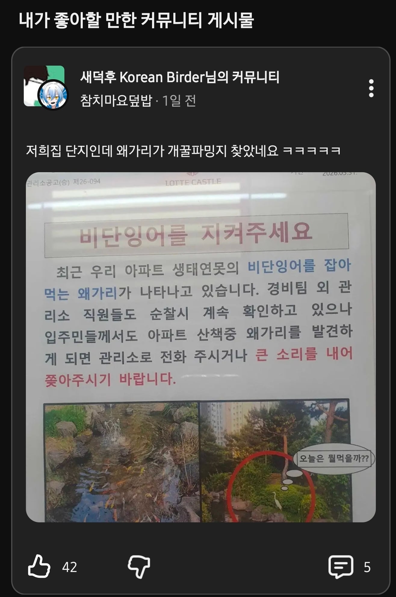개꿀-파밍지-찾은-왜가리-0-이미지
