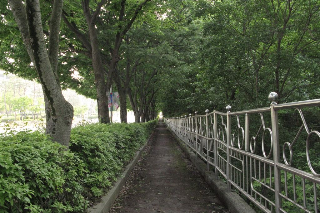 봄에는-버스-타거나-무작정-걷는-시간도-전부-여행인-게-좋다.twt-14-이미지