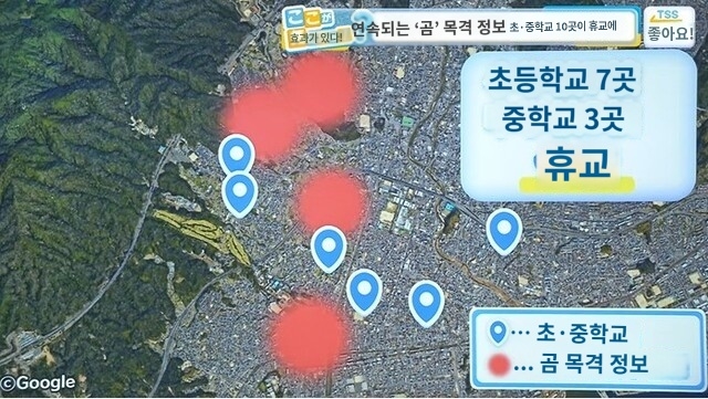 일본-히로시마,-곰출몰에-11개교-휴교-3-이미지