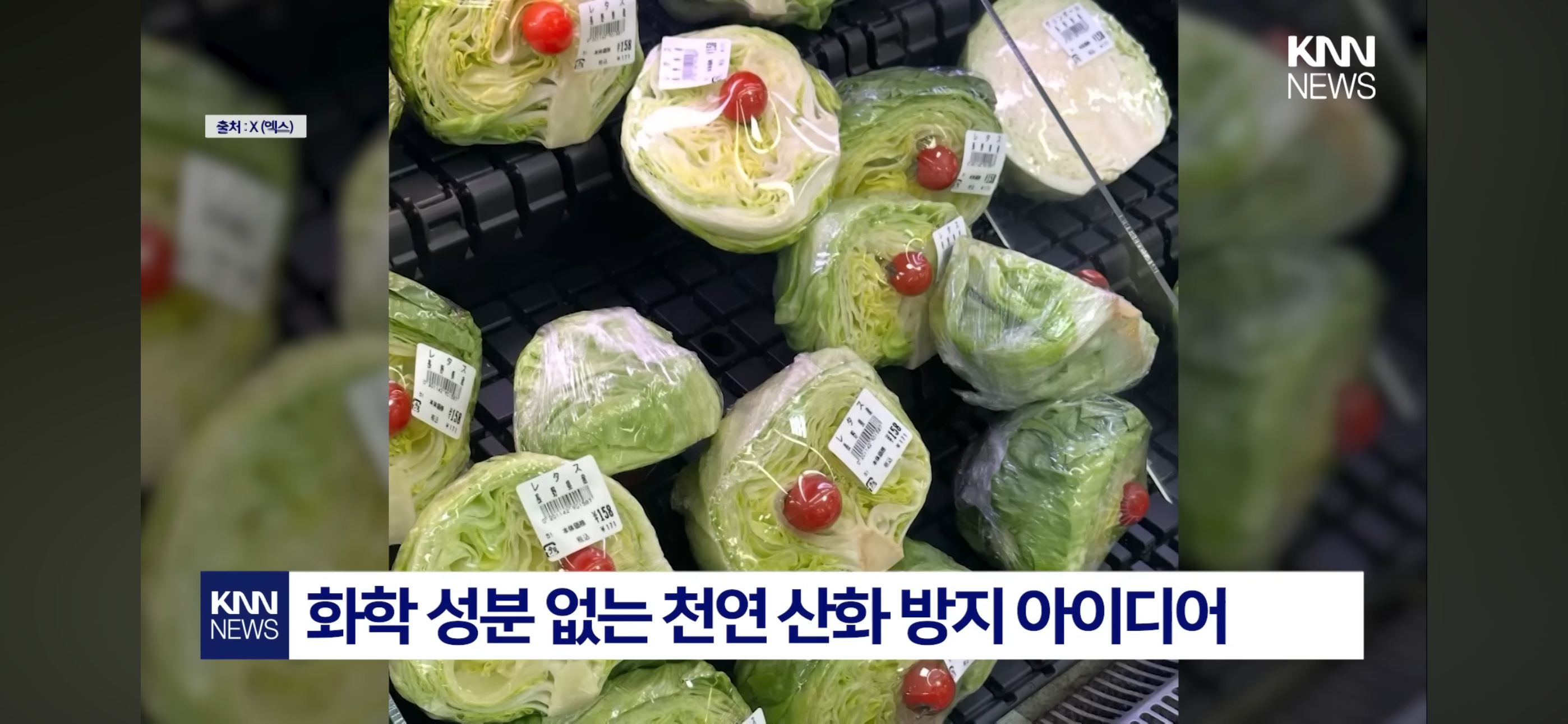 수박과-랩-사이에-방울토마토는-왜-끼워뒀을까?-5-이미지