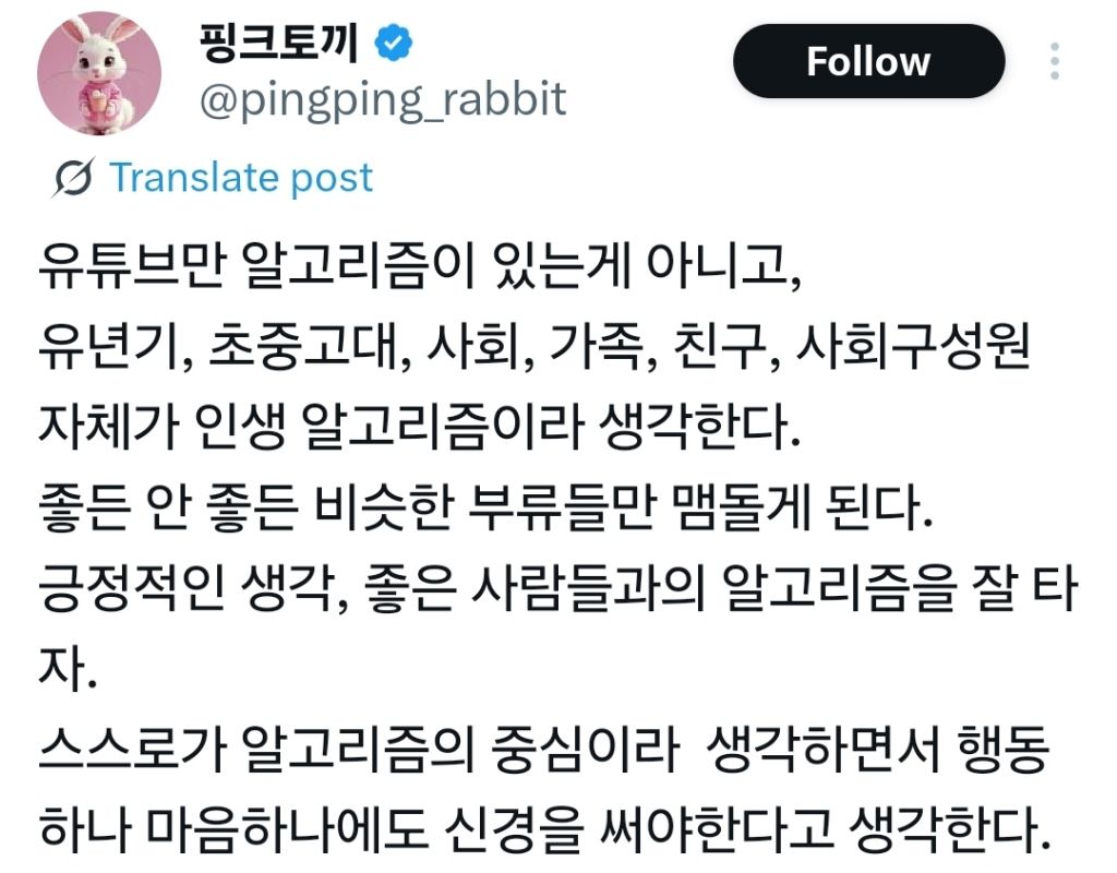 유튜브만-알고리즘이-있는-게-아니고-인생도-0-이미지