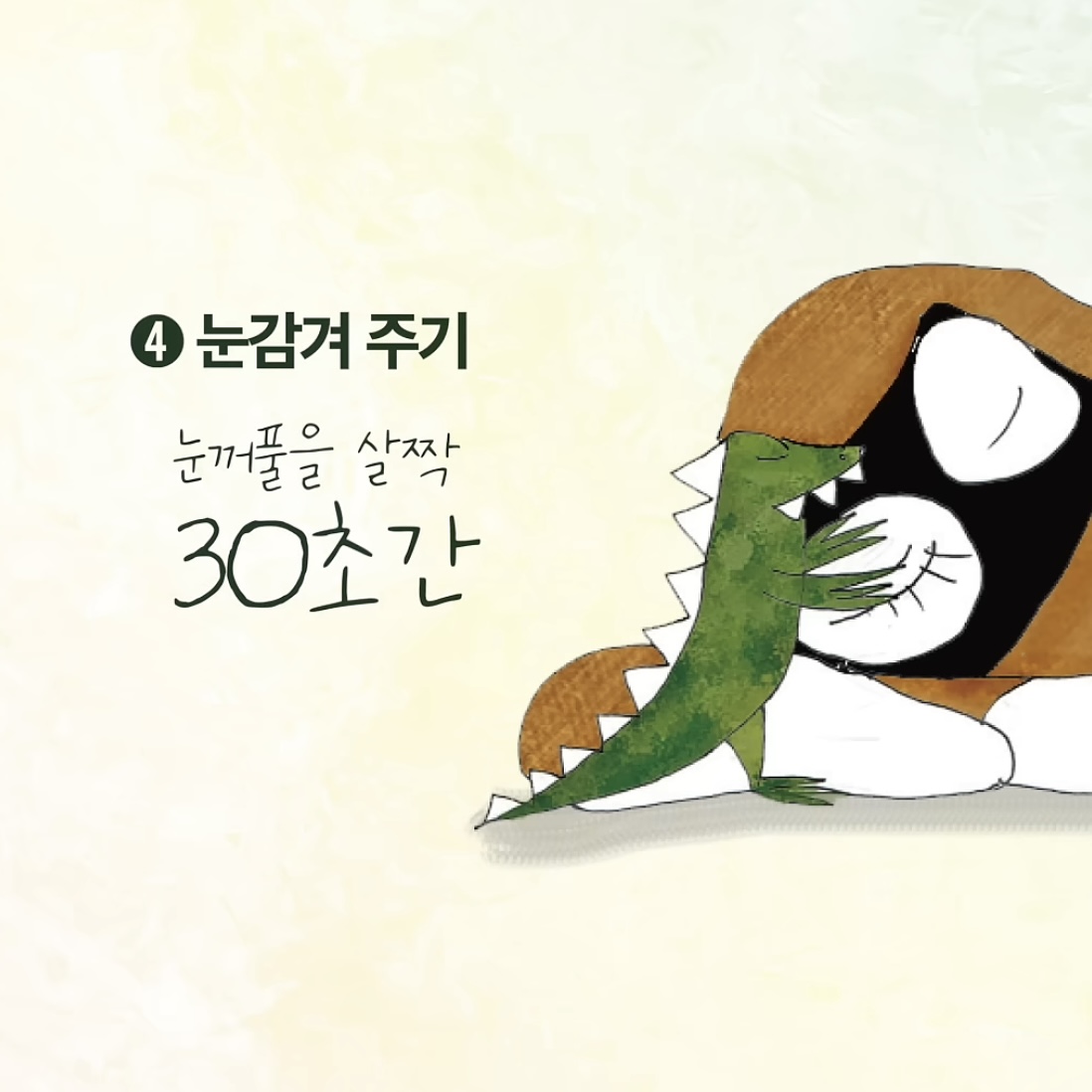 우리집-강아지가-죽으면-해야할-일.jpg-6-이미지