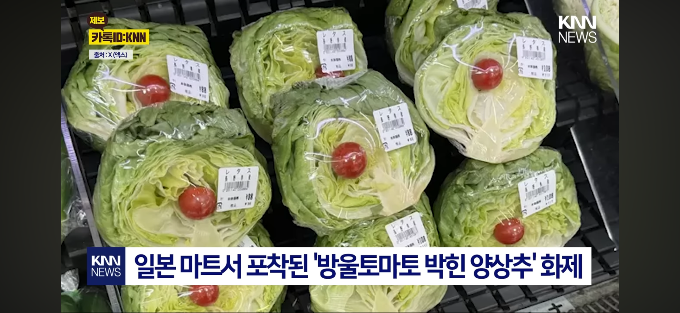 수박과-랩-사이에-방울토마토는-왜-끼워뒀을까?-2-이미지