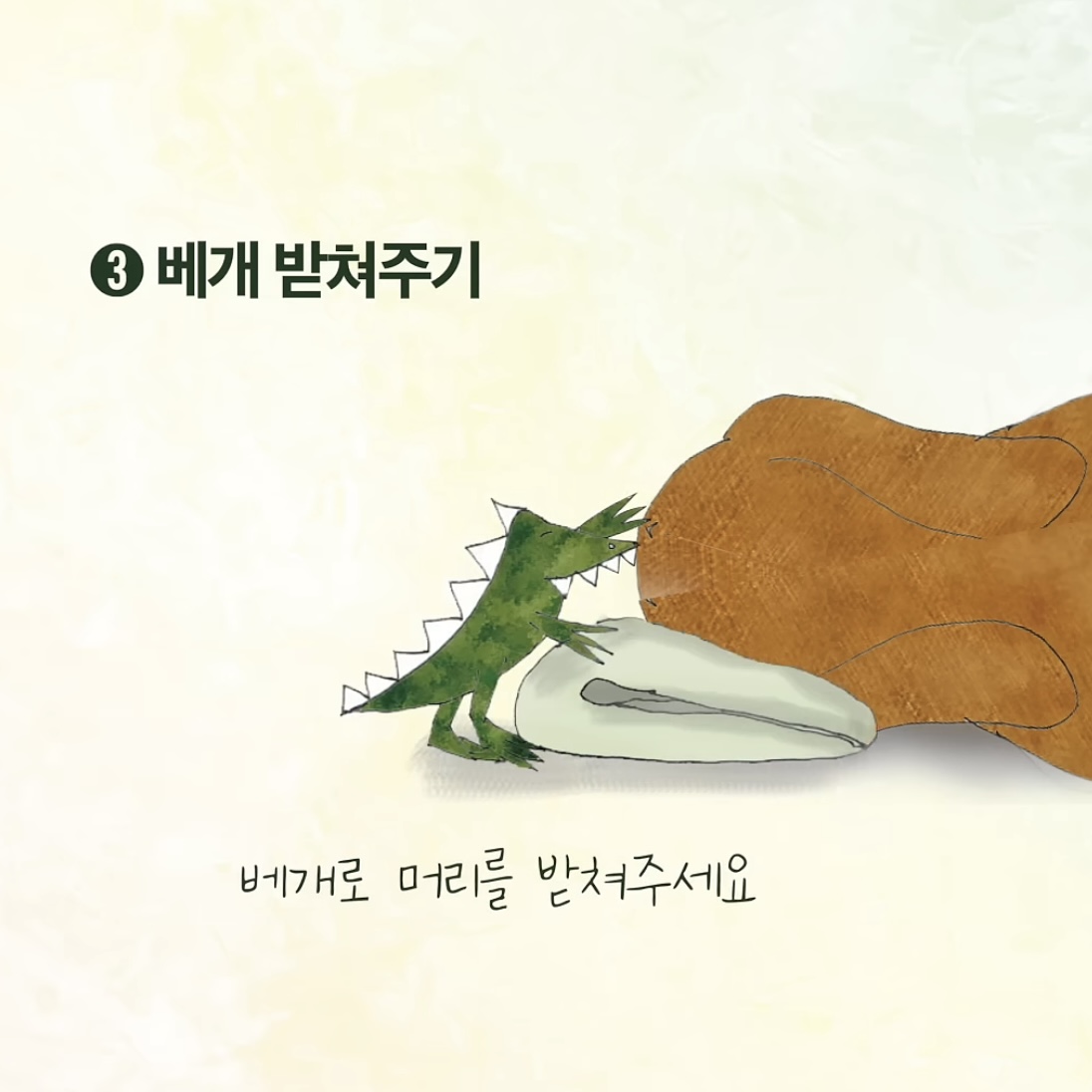 우리집-강아지가-죽으면-해야할-일.jpg-3-이미지