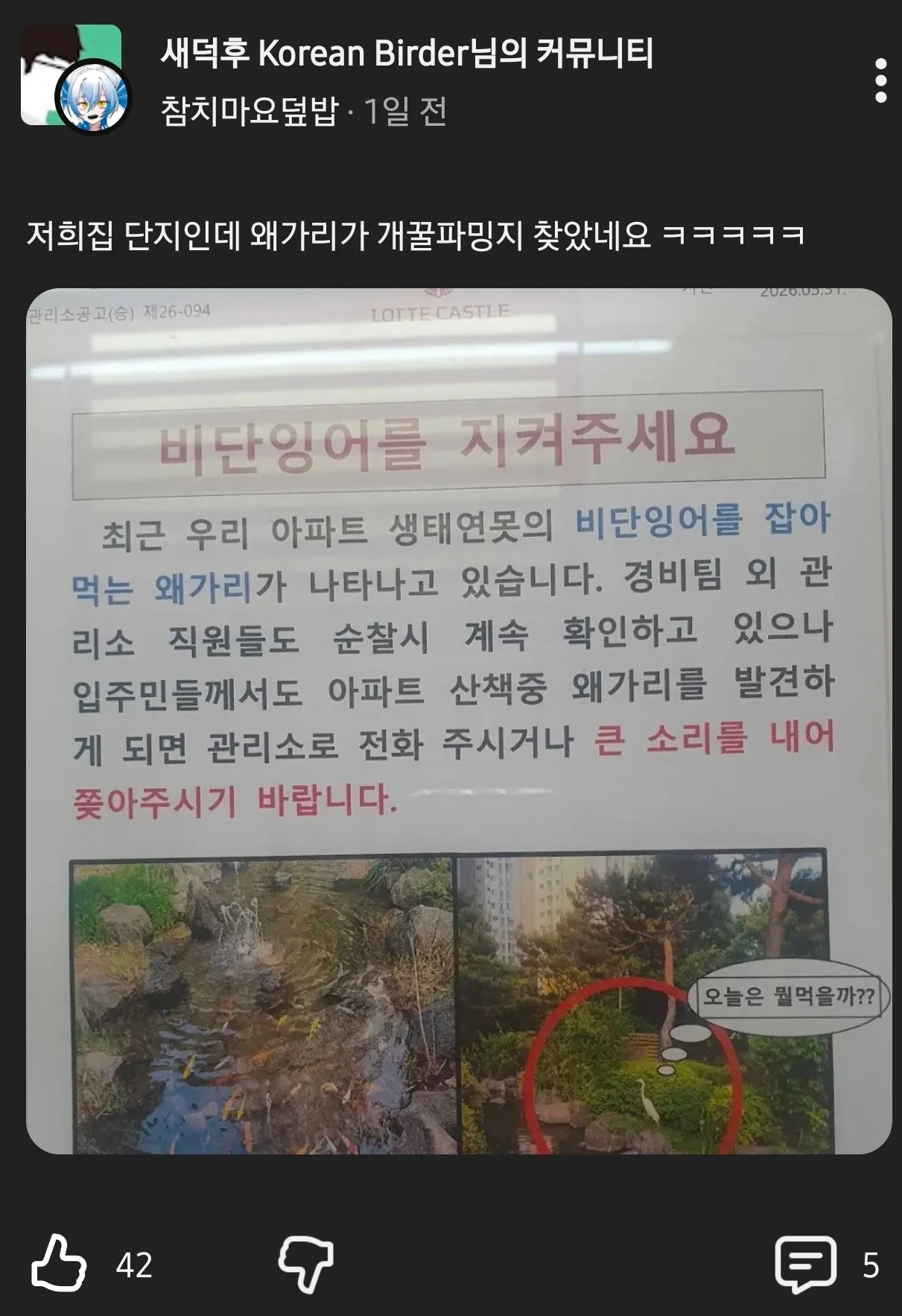아파트-단지내-왜가리-근황.jpg-0-이미지
