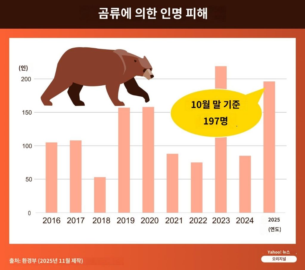 일본-히로시마,-곰출몰에-11개교-휴교-5-이미지