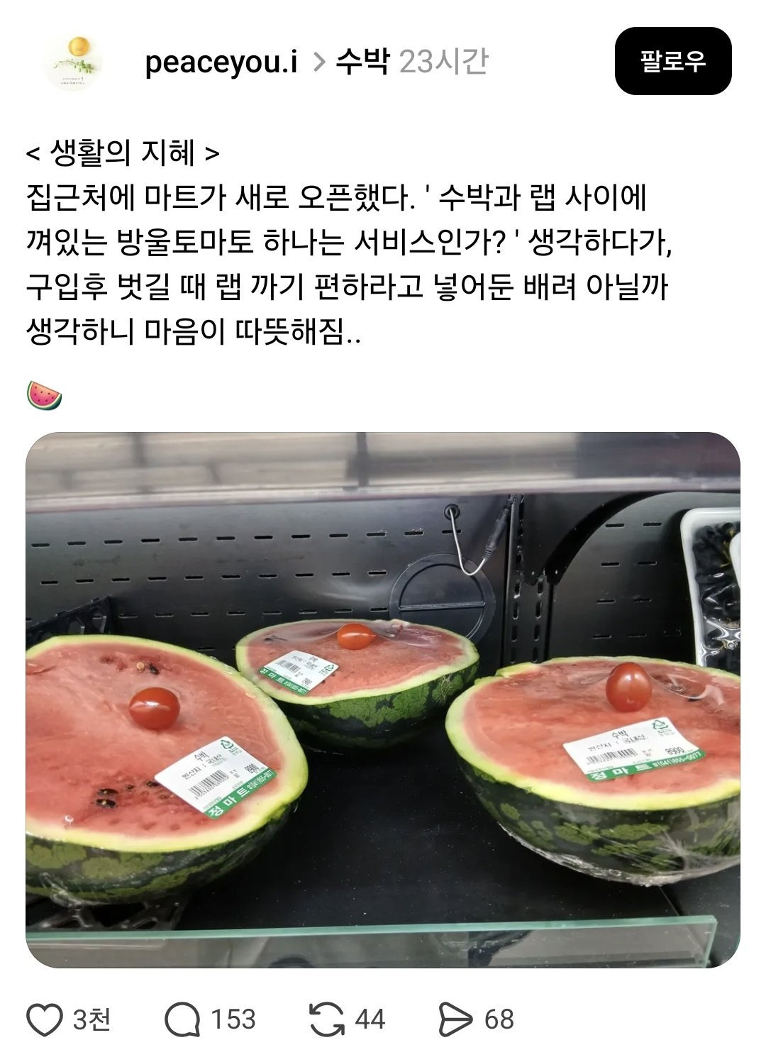 수박과-랩-사이에-방울토마토는-왜-끼워뒀을까?-0-이미지