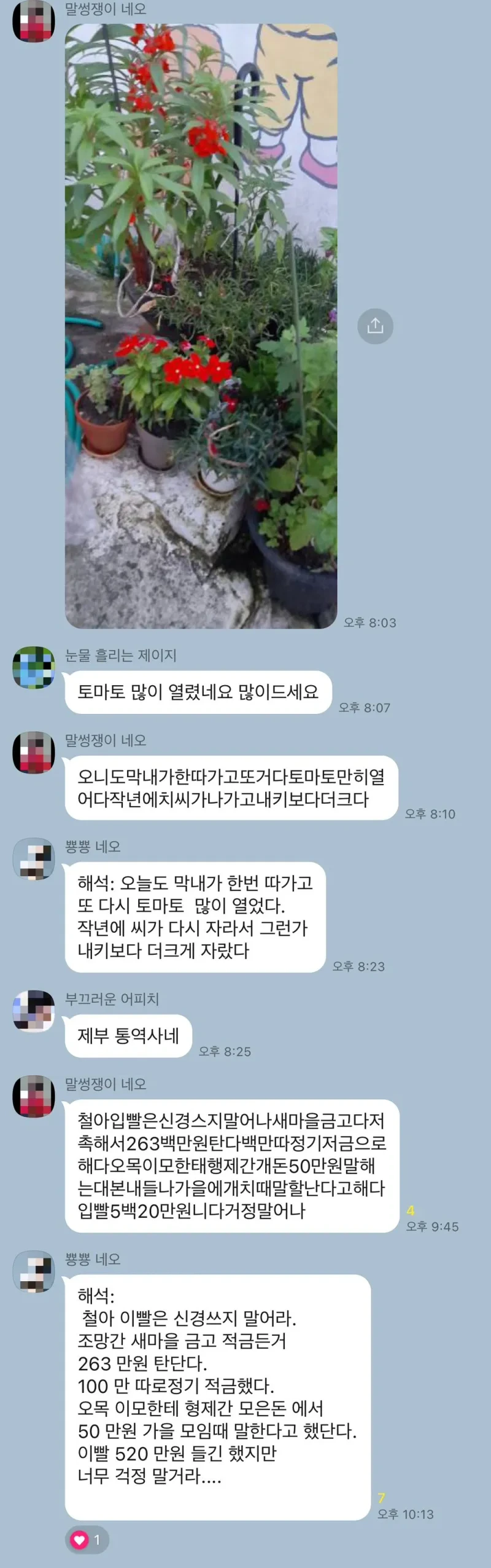 할머니-번역의-달인-0-이미지