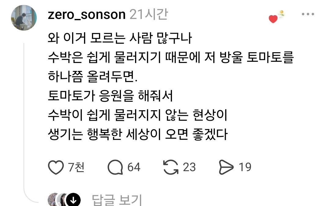 수박과-랩-사이에-방울토마토는-왜-끼워뒀을까?-1-이미지