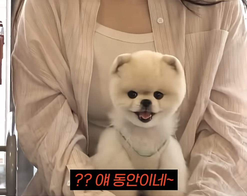 노년은-걱정-없는-김호영-5-이미지