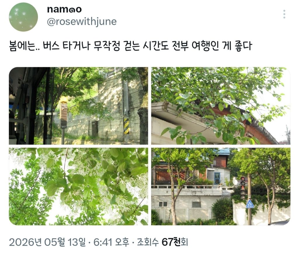 봄에는-버스-타거나-무작정-걷는-시간도-전부-여행인-게-좋다.twt-0-이미지