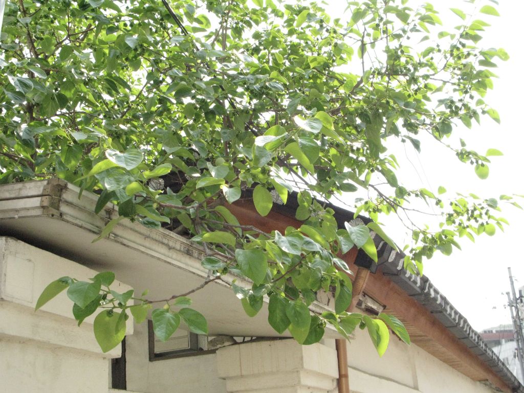봄에는-버스-타거나-무작정-걷는-시간도-전부-여행인-게-좋다.twt-2-이미지